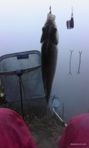 20160924_065600.jpg