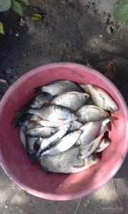 20160924_110451.jpg