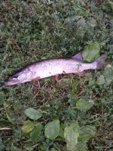 20160926_162305.jpg