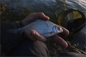 _MG_1616.jpg