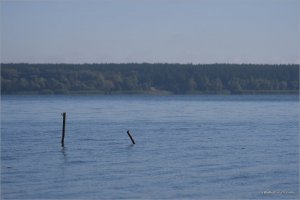 _MG_1625.jpg