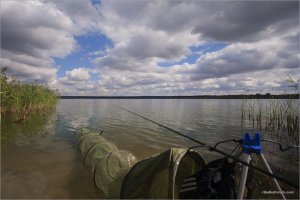 _MG_1690.jpg