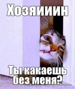 original-1.jpg