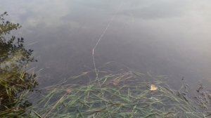 20160929_070208.jpg