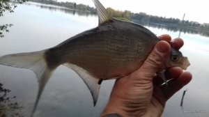20160929_075359.jpg