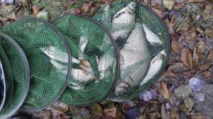 20160929_115315.jpg