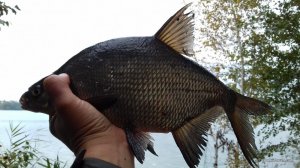 20160929_115419.jpg
