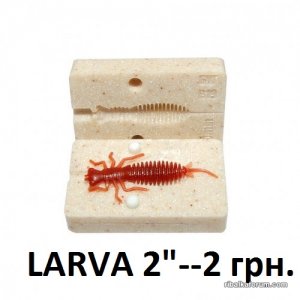 LARVA.jpg
