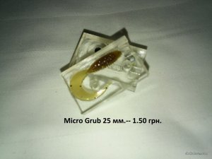 Micro Grub.jpg