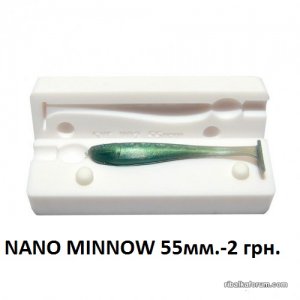 NANO MINNOW.jpg