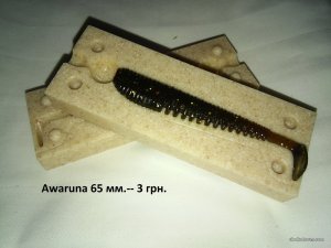 Awaruna65.jpg