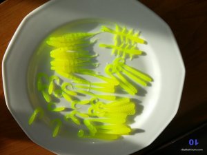 10.JPG
