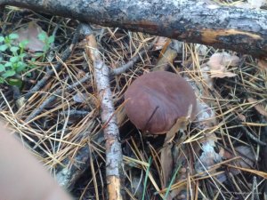 IMG_20161001_081628.jpg