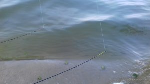 20161001_093030.jpg