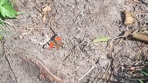 20161001_122617.jpg