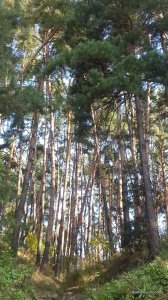 20161001_122637.jpg