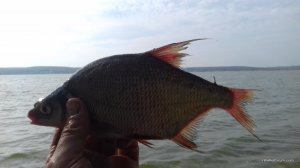 20161001_141945.jpg