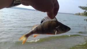 20161001_142035.jpg