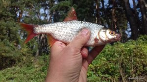 20161001_142117.jpg