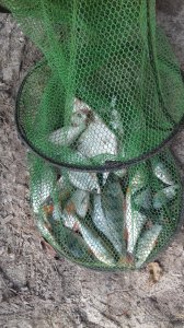 20161001_142209.jpg