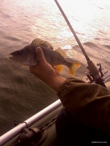 IMG_20161001_084944[1].jpg