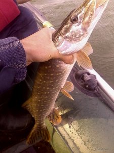 IMG_20161001_161922[1].jpg