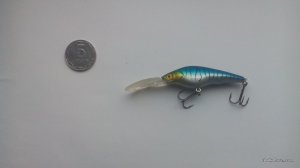 IMG_20160928_164939.jpg