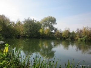 IMG_6742.JPG