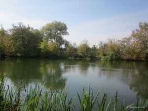 IMG_6743.JPG