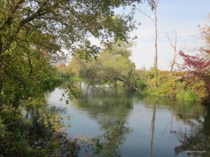 IMG_6745.JPG