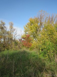IMG_6746.JPG