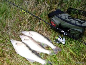 20161001_180758[1].jpg