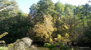 IMG_20161002_142841.jpg
