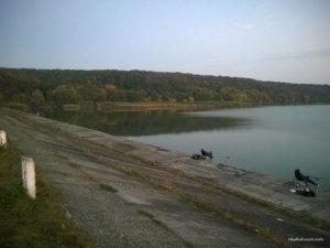 WP_20161001_06_11_07_Pro.jpg