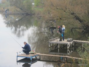 IMG_0266.JPG
