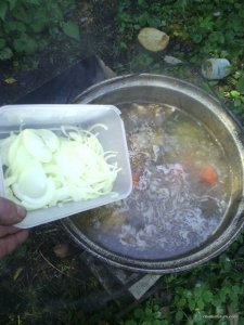 IMG_20161002_121340.jpg