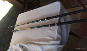 IMAG0084.jpg
