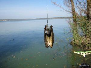 IMG_2094.JPG
