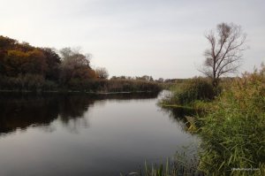 DSC04979.JPG