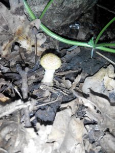 20161003163402.jpg