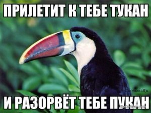 4532_56a0de6d37e84.jpg