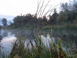 DSCN5814.JPG
