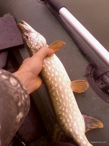 IMG_20161004_140701[1].jpg