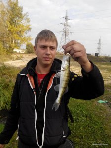 IMG_20161004_161654.jpg