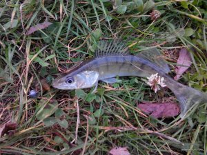 IMG_20161004_174209.jpg