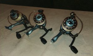 IMAG0088.jpg