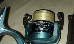 IMAG0092.jpg