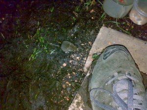15092011148.jpg