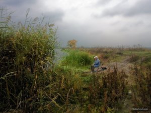 Гинеевка 04.10.2016_07-2.jpg