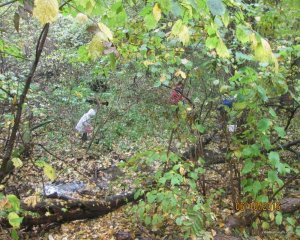 IMG_0014.JPG